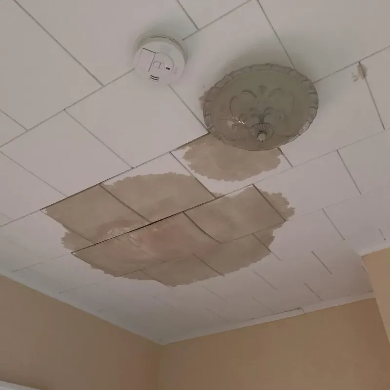 Ceiling Water Damage Repair in Lathrop, MO