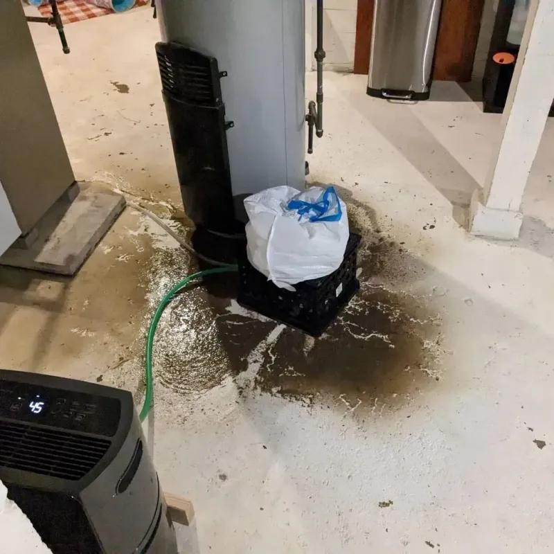 Sewage Backup Cleanup Service in Lathrop, MO